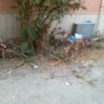 optimizedvia_gaetano_rao_11