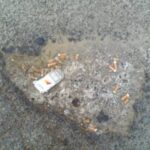 optimizedvia_salvemini_2