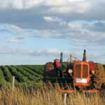 agricoltori2