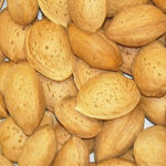 mandorle_con_guscio