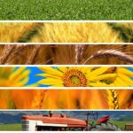 mix_agricoltura