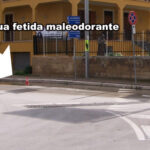 acqua-fetida