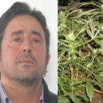 arresto-cl