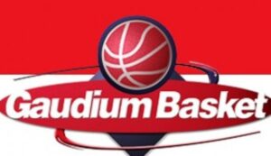 gaudium-basket1