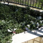 parcheggio-5