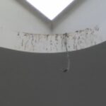 11-01-10_1221