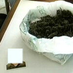 droga33
