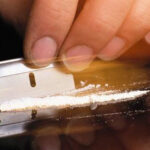 droga51