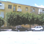 alberi-largo-gorizia