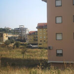 contralla-petrillo-2