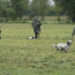 Caccia-cacciatori-con-cane
