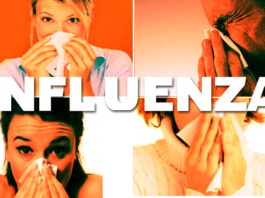 Cosa mangiare per prevenire l’influenza