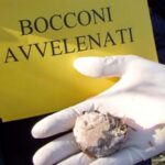 Grotte, ancora veleno per le strade: “Denunciate ai carabinieri”