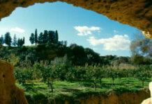 Il Giardino della Kolymbethra protagonista su Disney Plus con Stanley Tucci