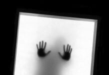 Ansia ed Alimentazione