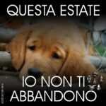 campgna contro l'abbandono