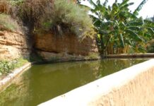 Al Giardino della Kolymbethra tornano i “Fuori cantina” a partire dal 3 luglio