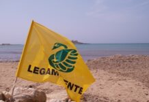Lampedusa, sulla Spiaggia dei Conigli la prima deposizione di tartaruga caretta caretta
