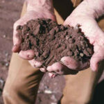 agricoltura1