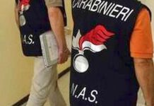 Nas sequestrano oltre 4 quintali di pesce avariato