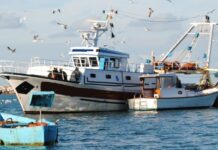 Pesca in Sicilia, bando da 2 milioni per innovazione, turismo e sviluppo sostenibile