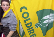 Guerra e rischi, danni per due miliardi per l’export siciliano, la denuncia Coldiretti