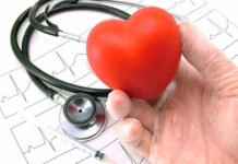 Cuore e reni, la sfida si gioca insieme: a Palermo le Giornate Siciliane di Nefrocardiologia