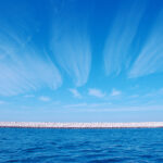 mare-blu
