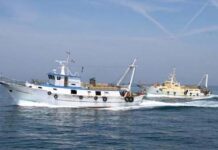 Ristori alla marineria, il deputato Cambiano chiede tavolo tecnico alla Regione