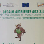 Dedalo-Ambiente1