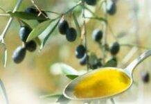 DMB, la sostanza contenuta nell’olio d’oliva può salvare vite umane