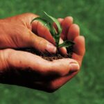 agricolturabio1