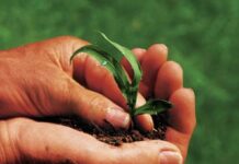 Finanziamenti agricoli, il Centro Studi Agricoli Sicilia: “Così si rischia di escludere gran parte delle aziende”