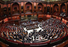 Codici ATECO per il settore felino: un primo passo concreto. “È solo l’inizio di un percorso necessario”