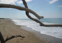 L’importanza di mantenere pulite le spiagge