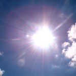 sole
