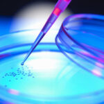 caso_stamina__un_punto_sui_rischi__1678