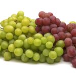 coltivazione-uva-da-tavola_O1