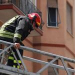 vigili