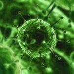 Covid-19, il contagio va a due velocità: Istituto Superiore Sanità ‘Crescita minore al Sud, ma non illudiamoci