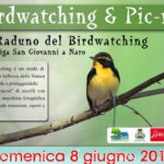 Birdwatching-naro