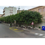 VIALE-UMB1