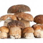 funghi-viagra