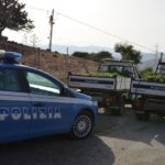 piantagione-2
