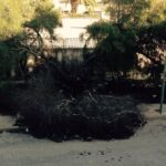 FOTO DEGRADO VIA REGINA DELLA PACE - CANICATTI'