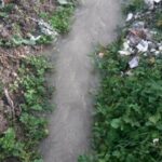 20150222_154438_1200x675_480x270