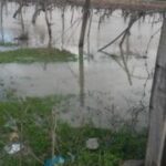 20150222_154543_1200x675_180x320