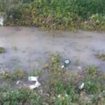 20150222_154625_1200x675_180x320