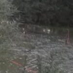 20150222_161556_1200x675_180x320