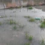 20150222_162213_1200x675_180x320